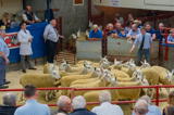 First prize pen of Cheviot Mule Gimmers at Longtown sold for £220 per head from Robert and Hazel McNee Over Finlarg-3